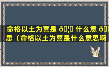 命格以土为喜是 🦋 什么意 🐕 思（命格以土为喜是什么意思啊）